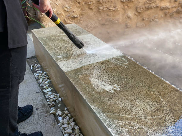 Best Pressure Washing Siding  in Frankl, IN