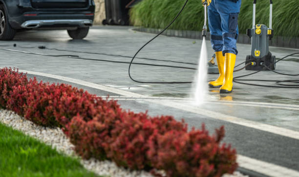 Best Sidewalk Pressure Washing  in Frankl, IN